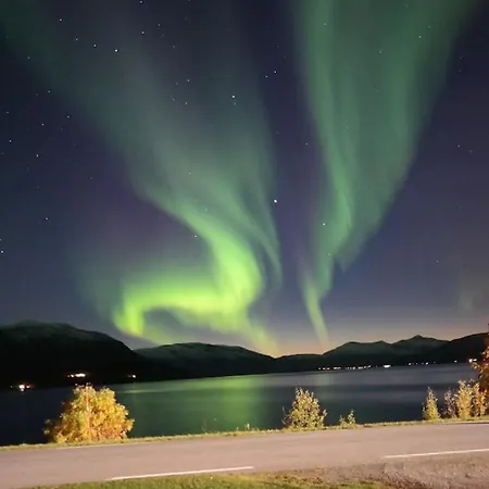 Northern Lights Haven شقة Ytre Tomasjord
