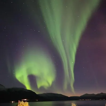 Northern Lights Haven شقة Ytre Tomasjord