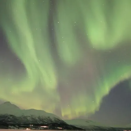 Northern Lights Haven * Ytre Tomasjord