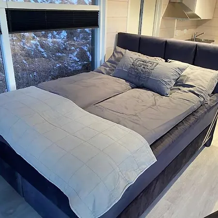 Northern Lights Haven